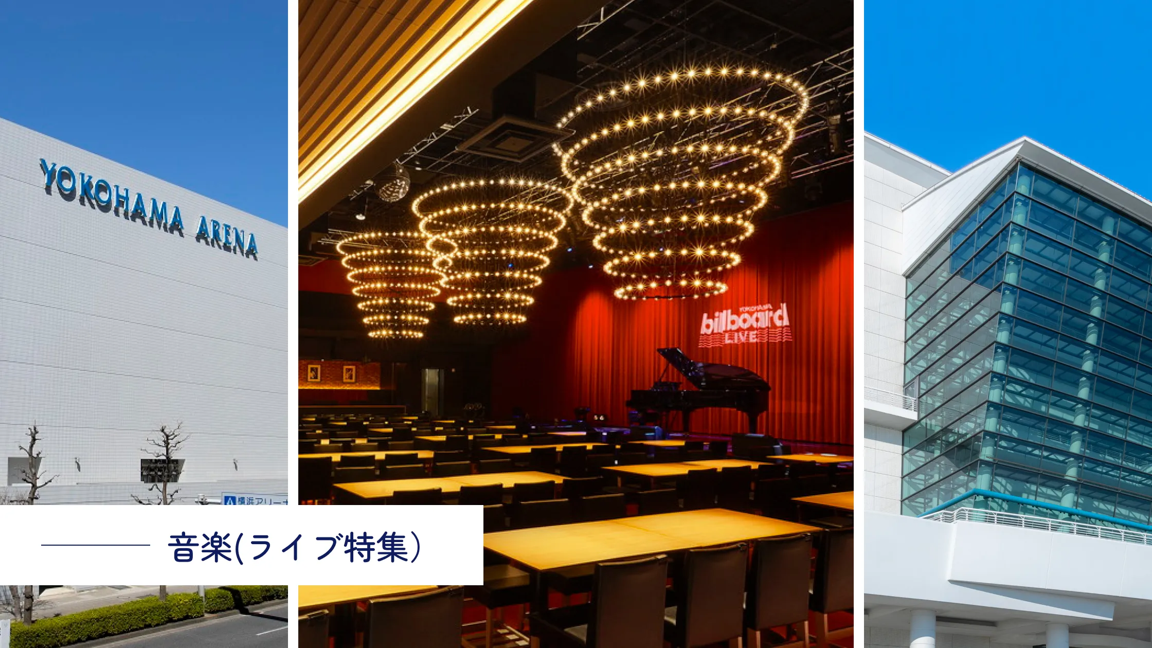 音楽(ライブ特集)