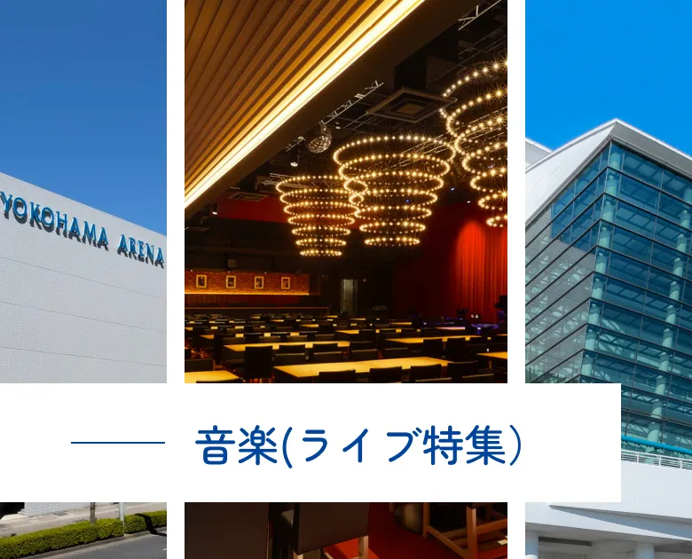 音楽(ライブ特集)