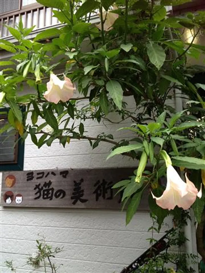 J0046440d.jpg