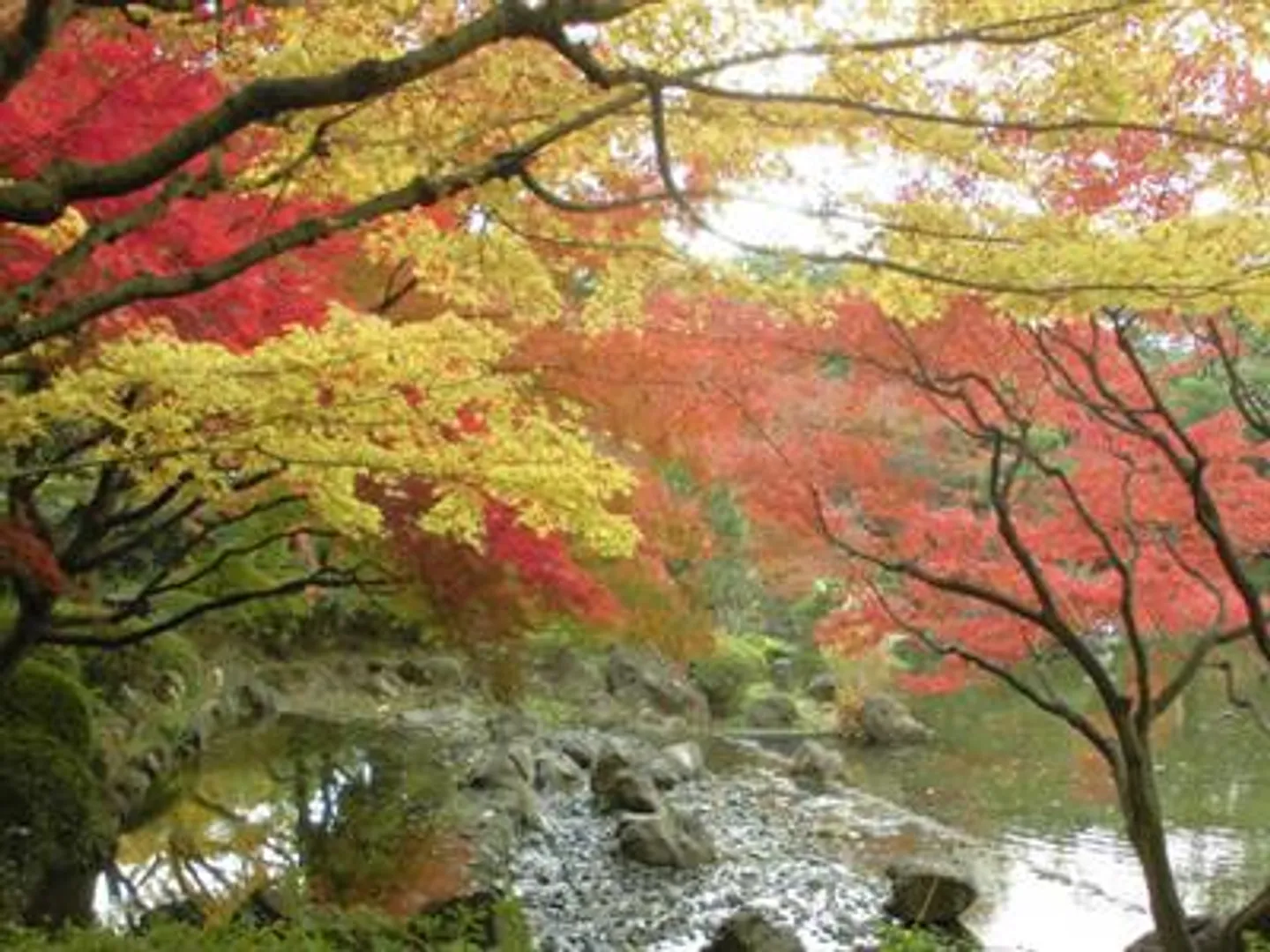 日本庭園