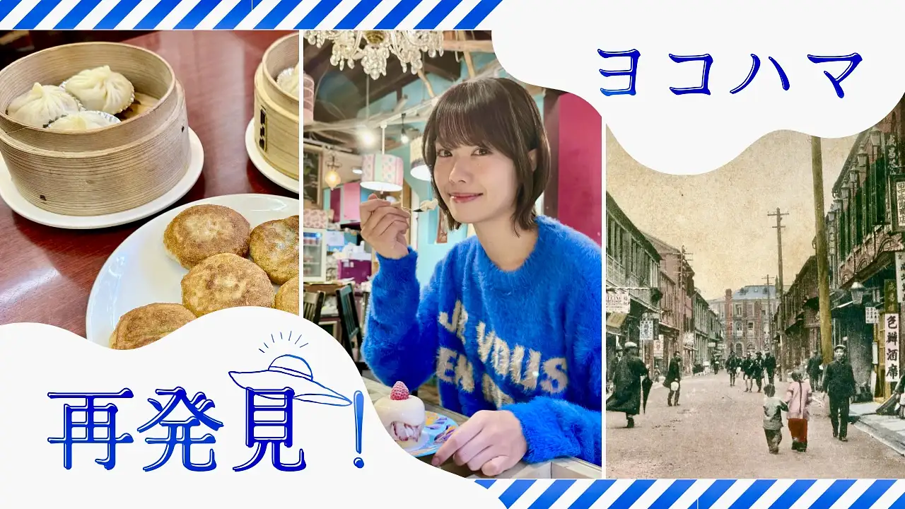 横浜中華街 生業と文化 横濵中華街 生業と文化 - 横浜都市発展記念館・横浜ユーラシア文化館