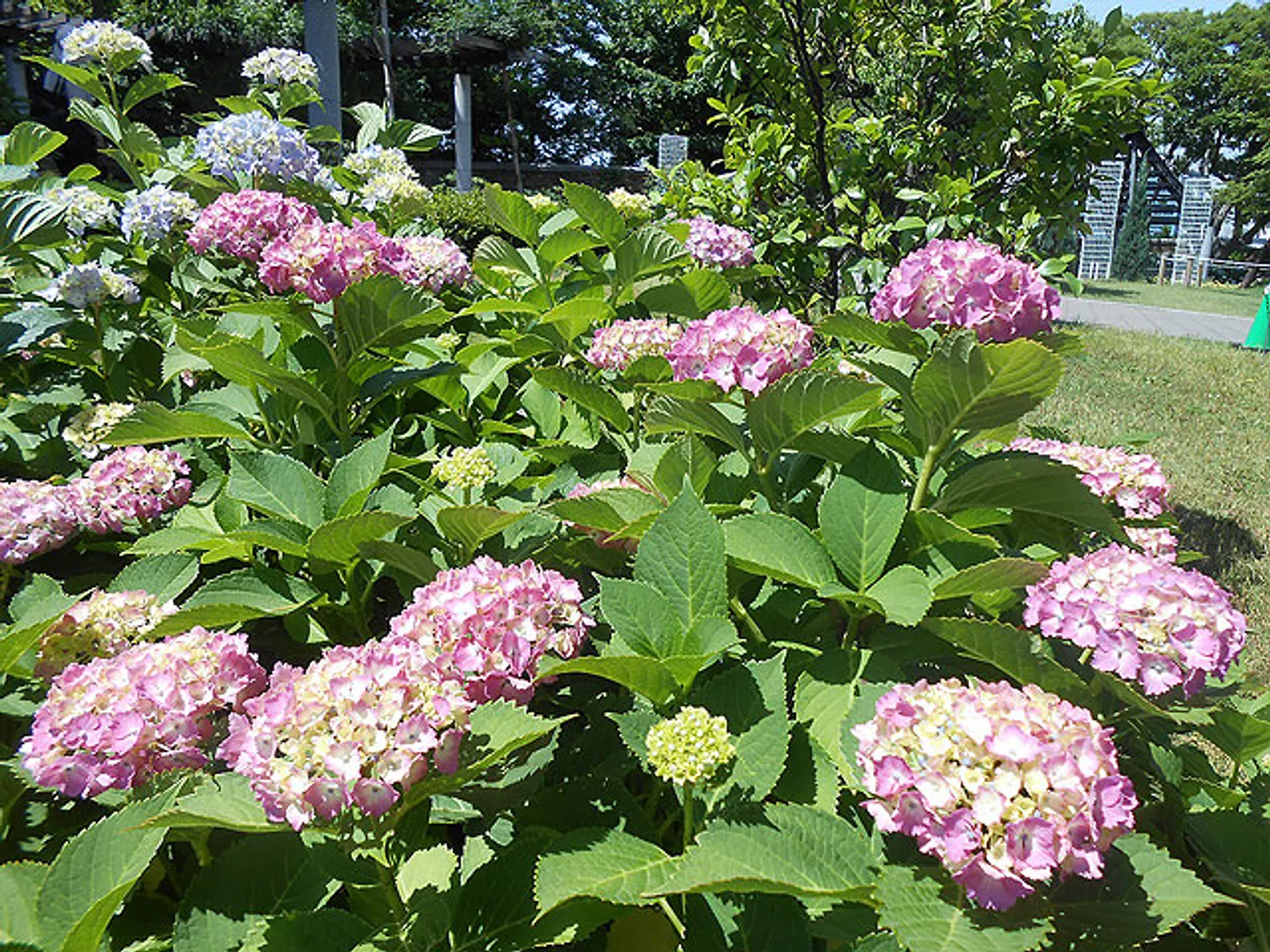 四季折々の草花が園内を彩る