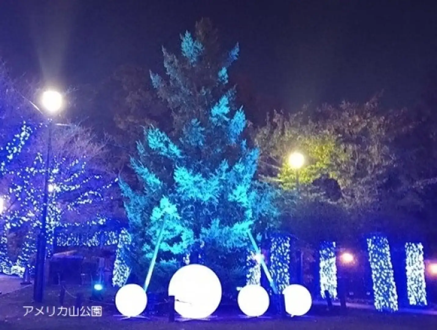 夜空に溶け込むようなイルミネーション