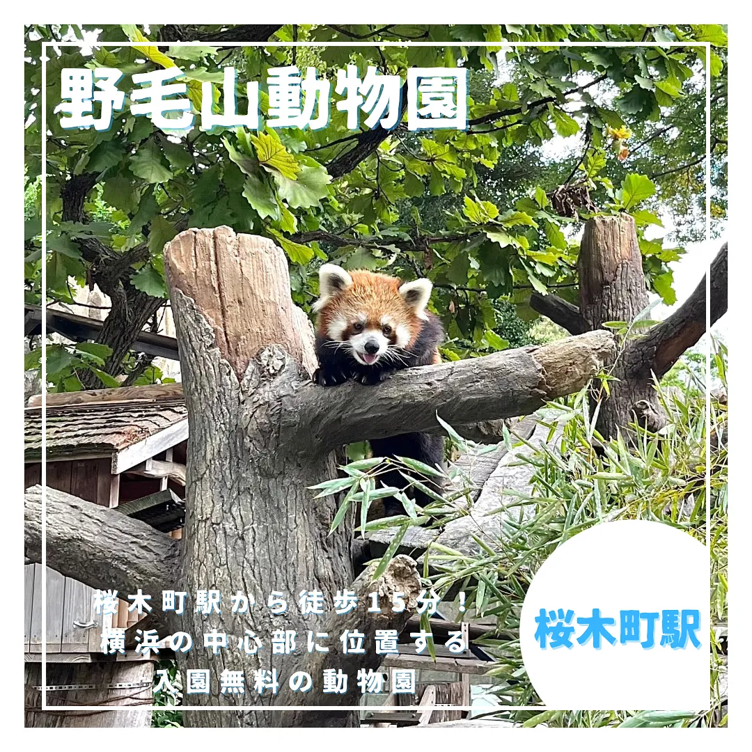 野毛山動物園