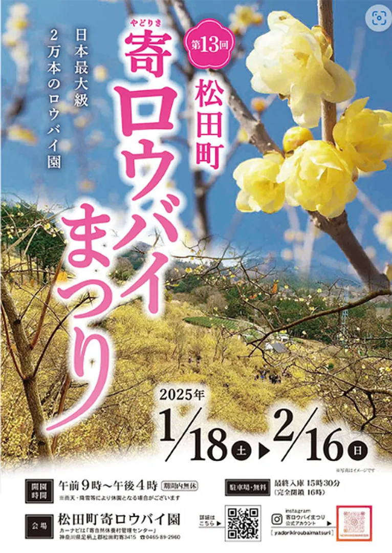 寄ロウバイまつり実行委員会（松田町観光経済課）