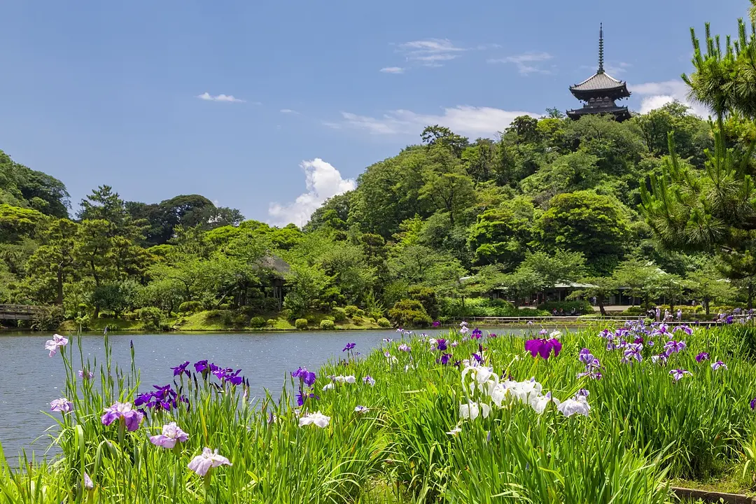 三渓園