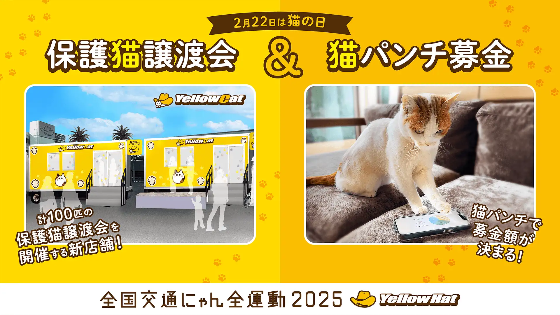 2月22日は猫の日！『全国交通にゃん全運動 2025』 | 特集一覧