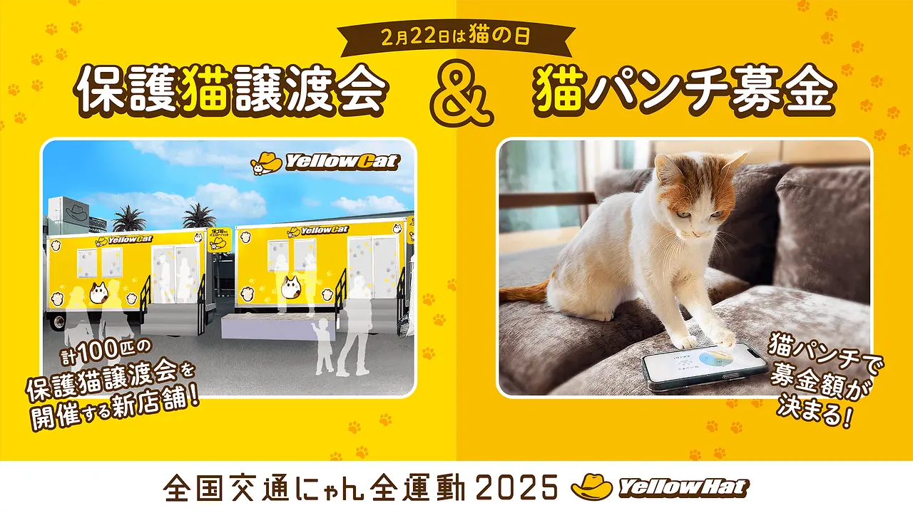 イエローキャット