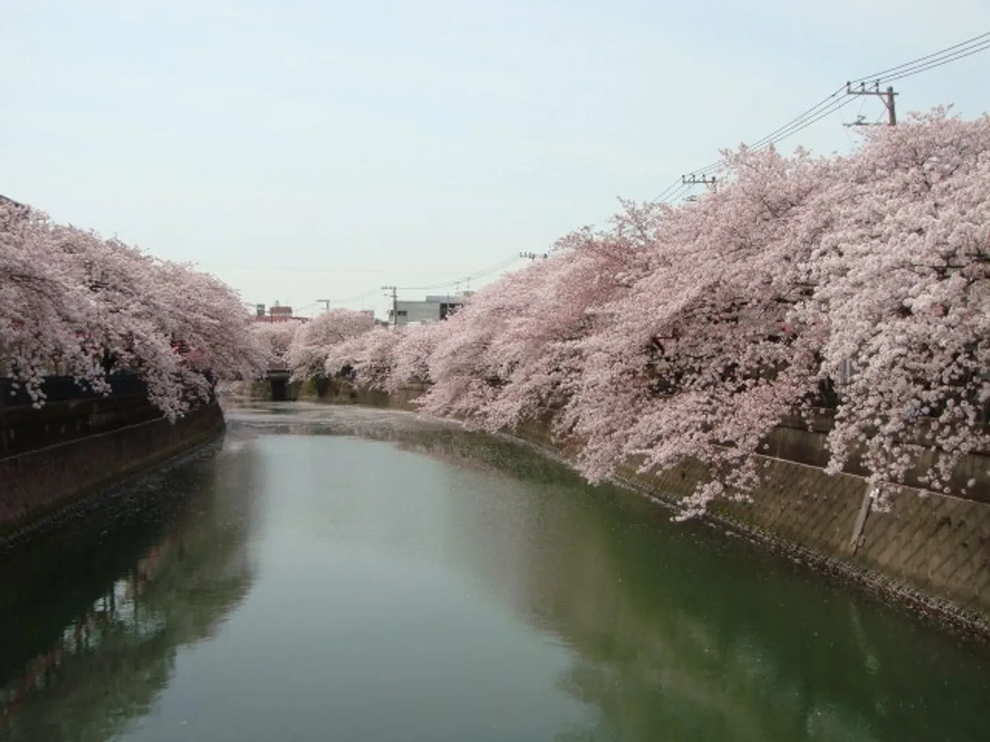 JF002970a.jpg