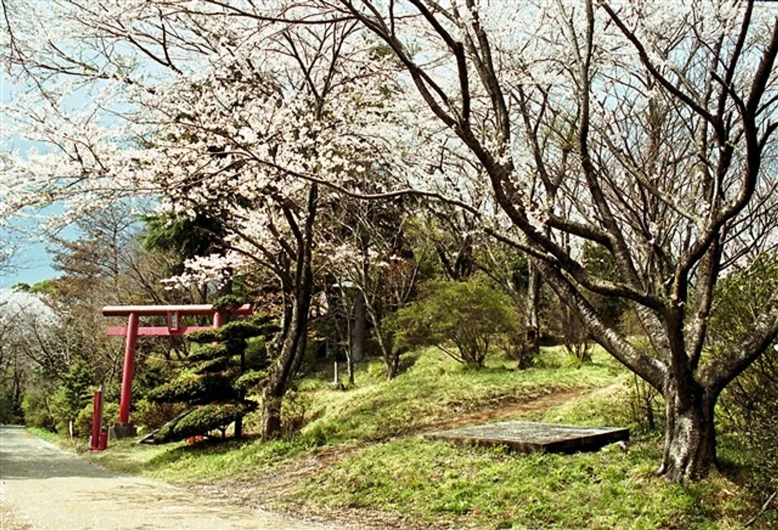 (C)平塚市観光協会