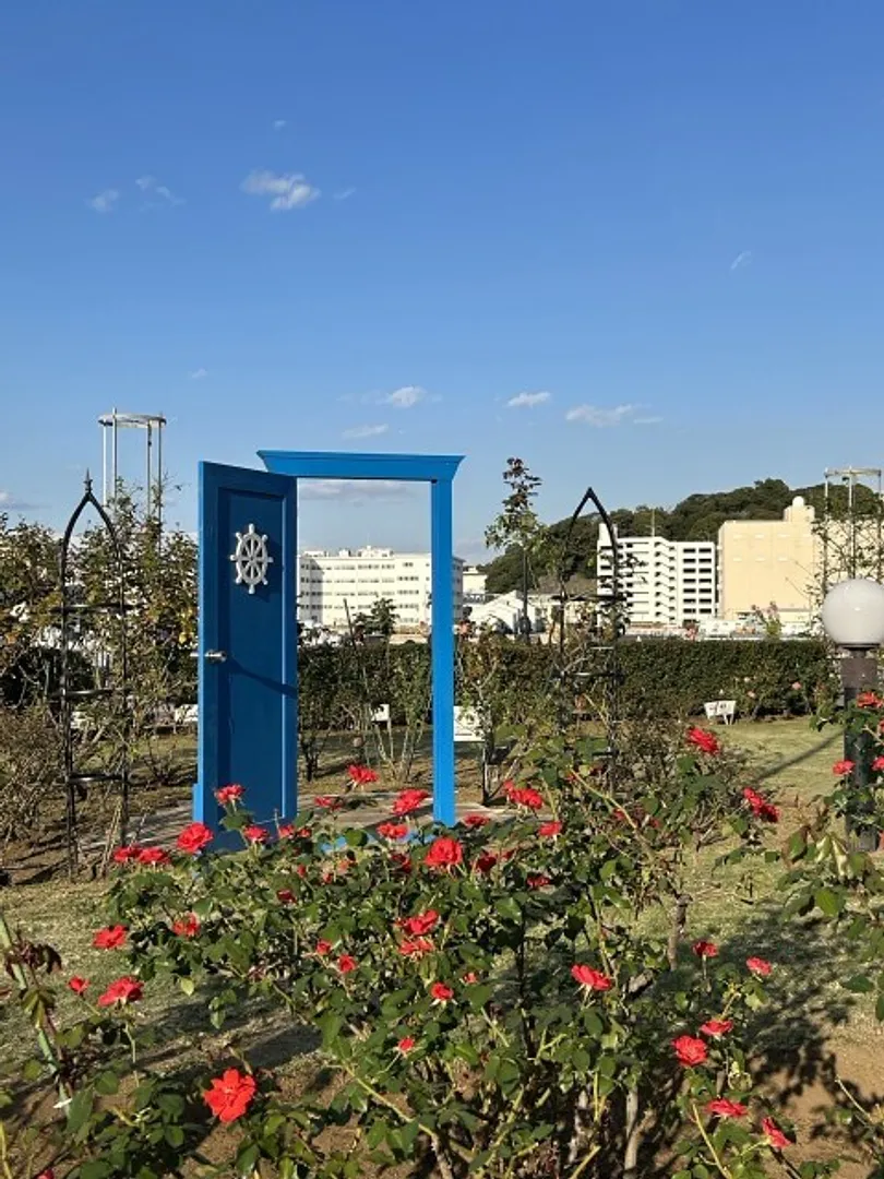 バラが咲く芝生広場には新たなフォトスポットを設置
