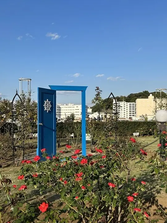 バラが咲く芝生広場には新たなフォトスポットを設置