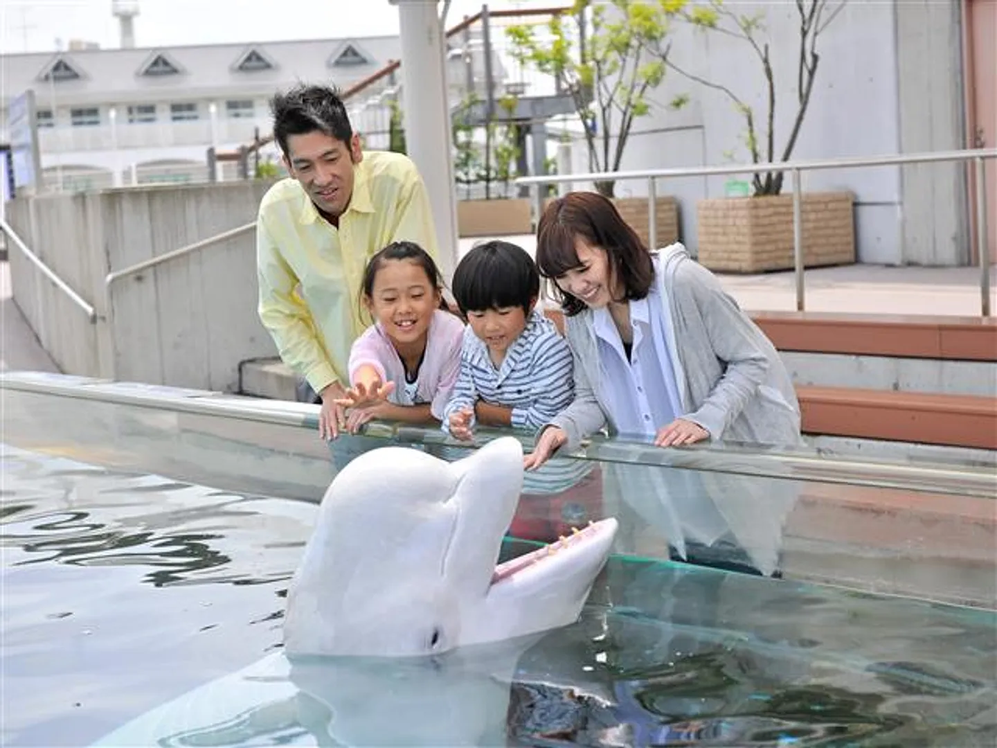 海の生きものとふれあえる水族館「ふれあいラグーン」
