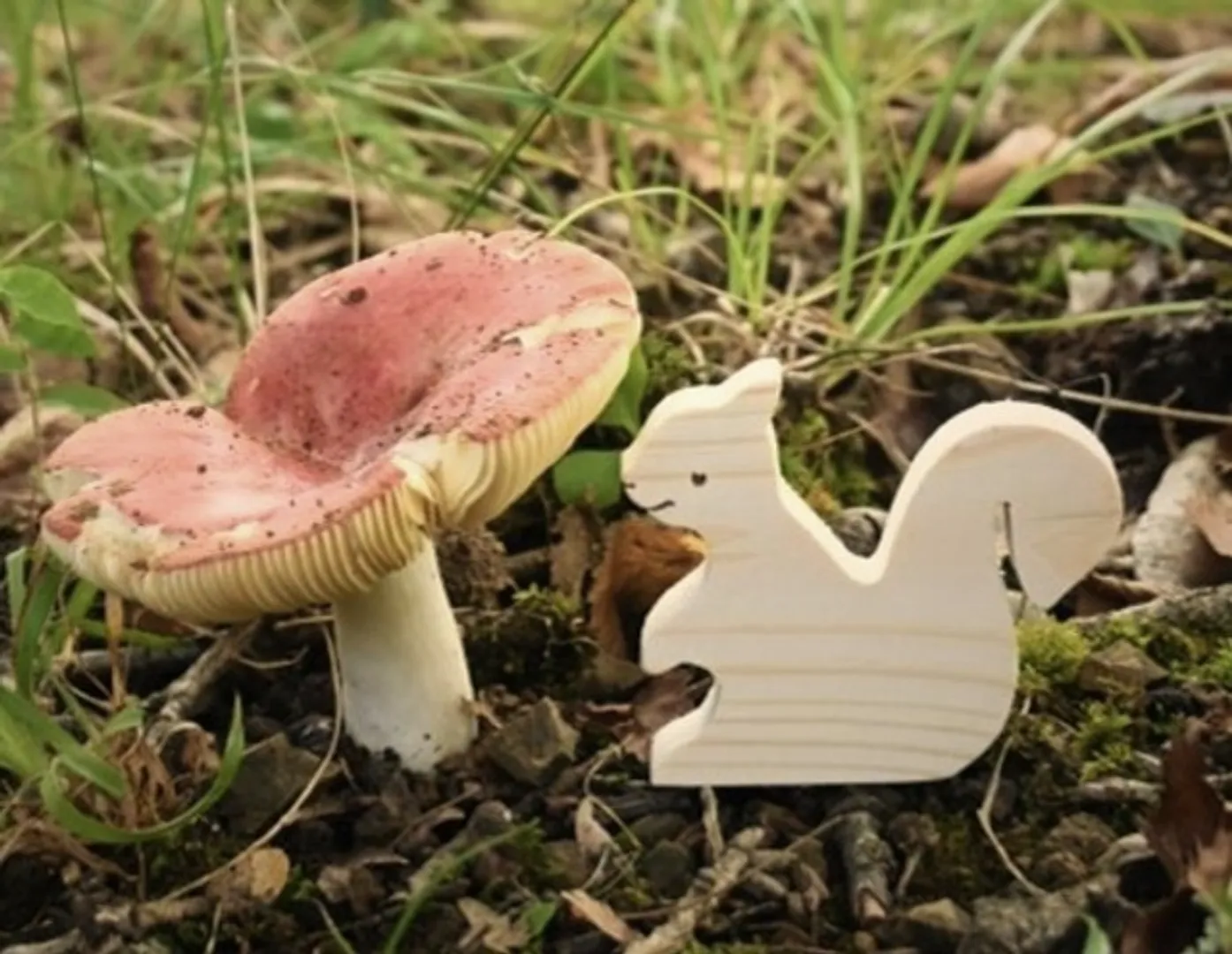 キノコとリス