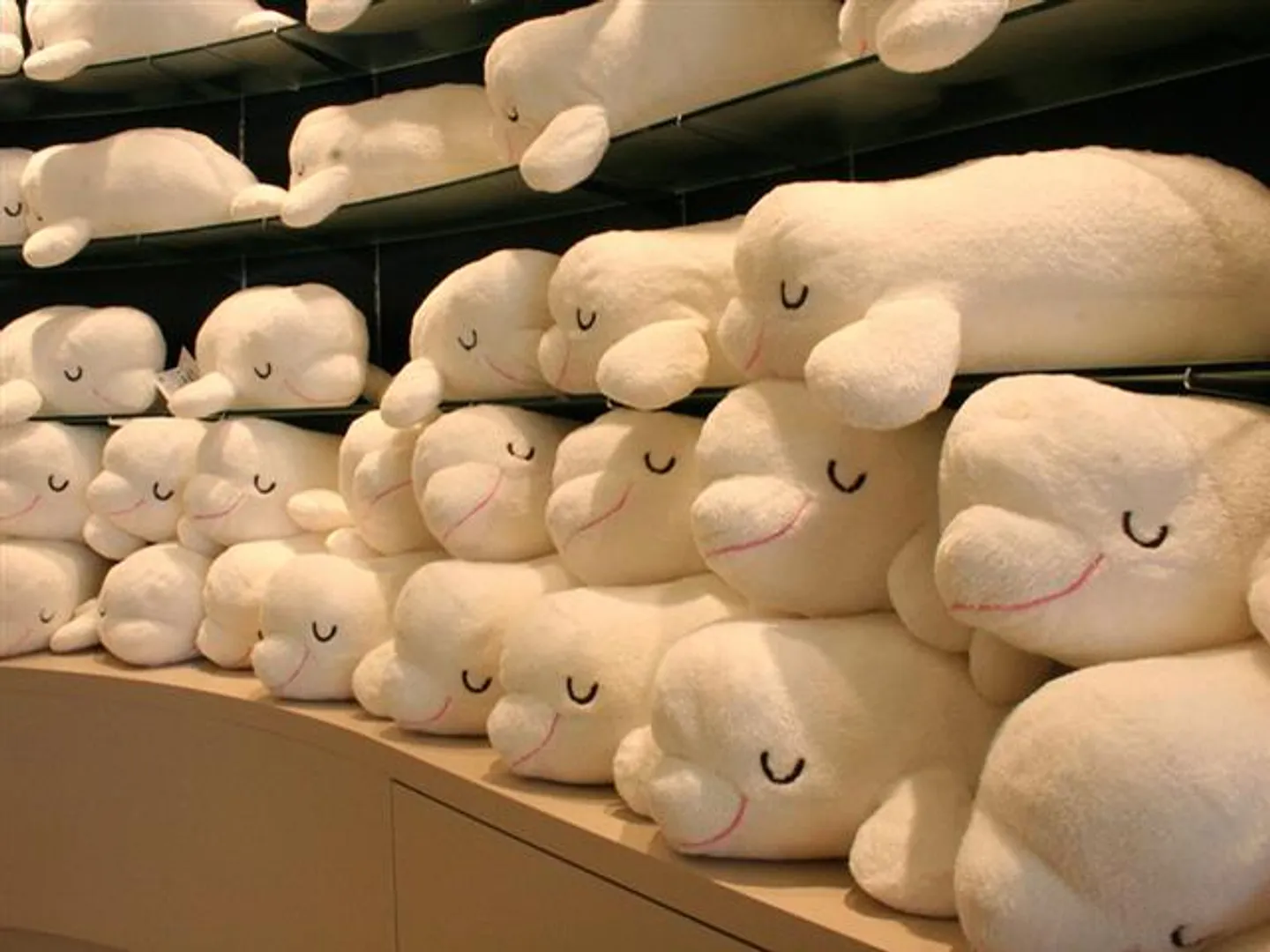 当店オリジナルのかわいいシロイルカの抱きまくら