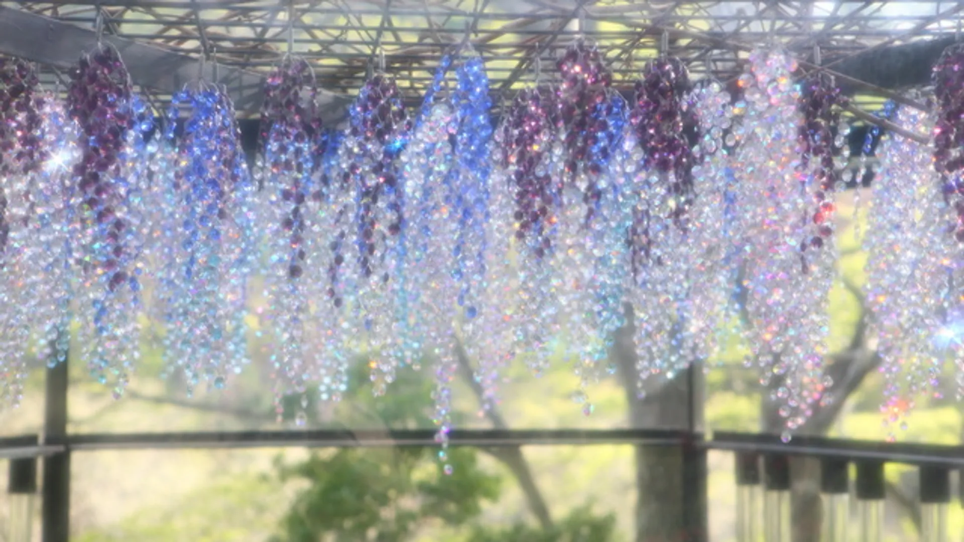 クリスタル・ガラスの藤の花