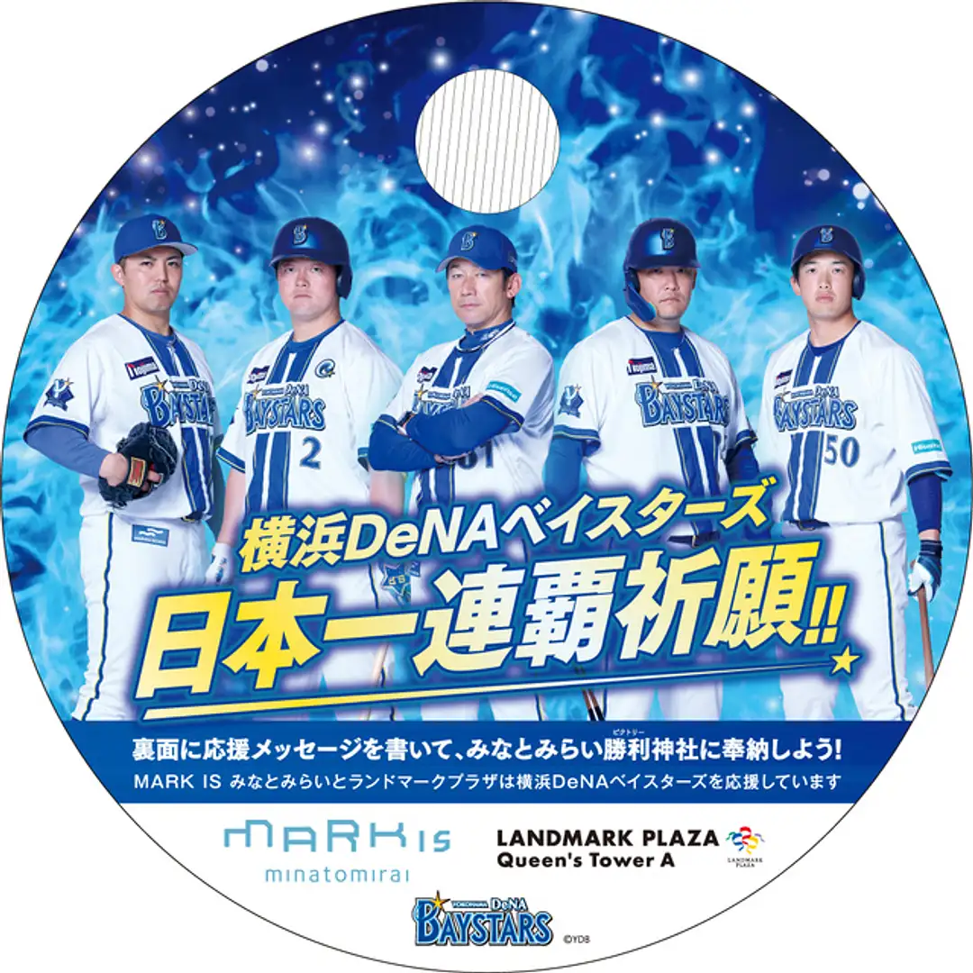 横浜DeNAベイスターズ 日本一優勝記念 フォトパネル