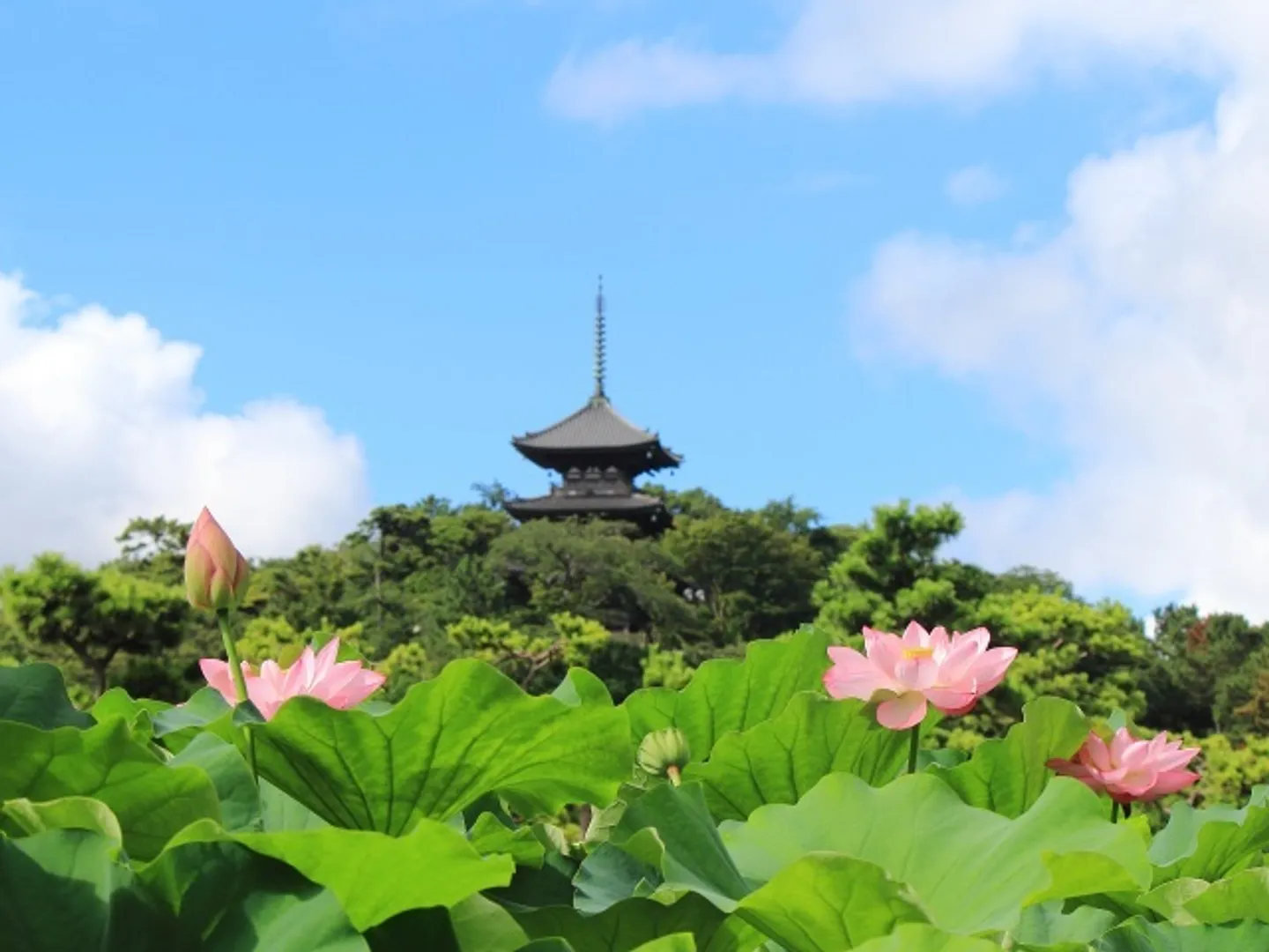 公益財団法人三溪園保勝会