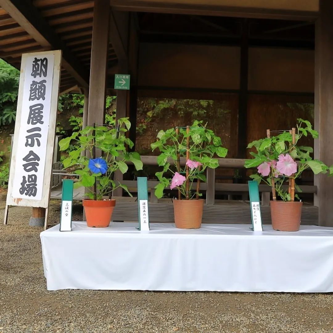 公益財団法人三溪園保勝会