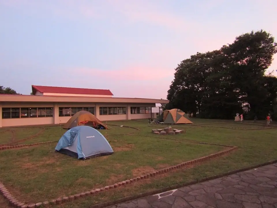 10575996.jpg