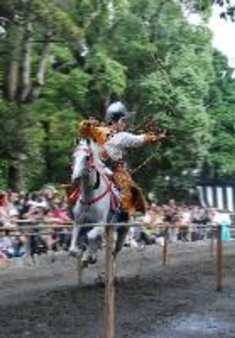 10576466.jpg