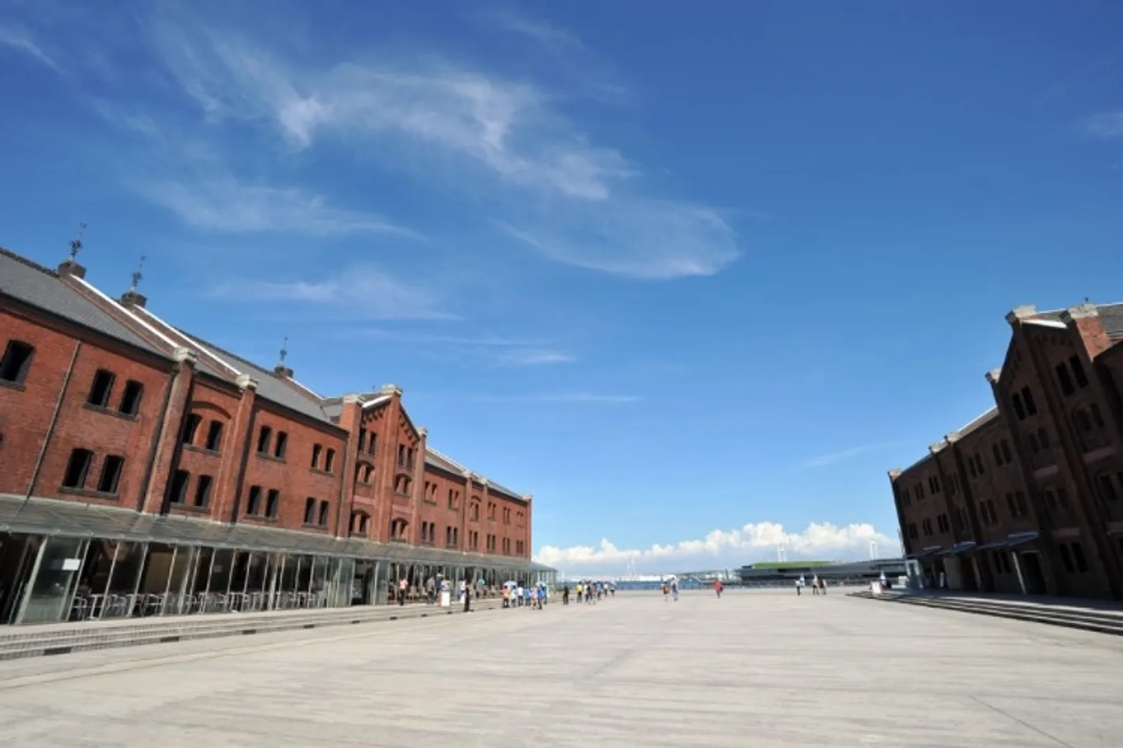 T04579_1.webp