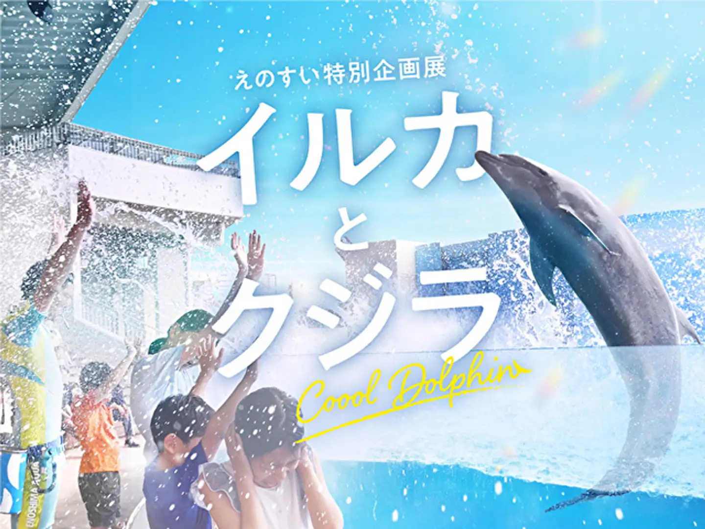 えのすい”のくらげ展 | イベント一覧 | かながわ 横浜観光なら