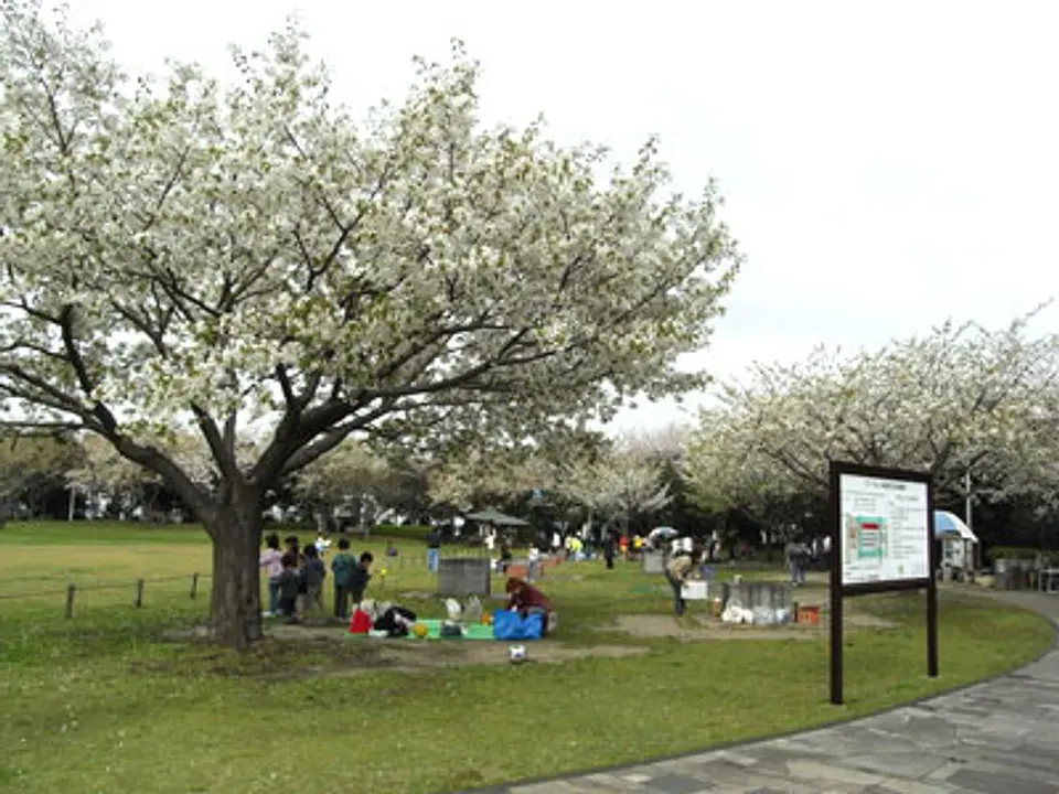 JM000226a.jpg
