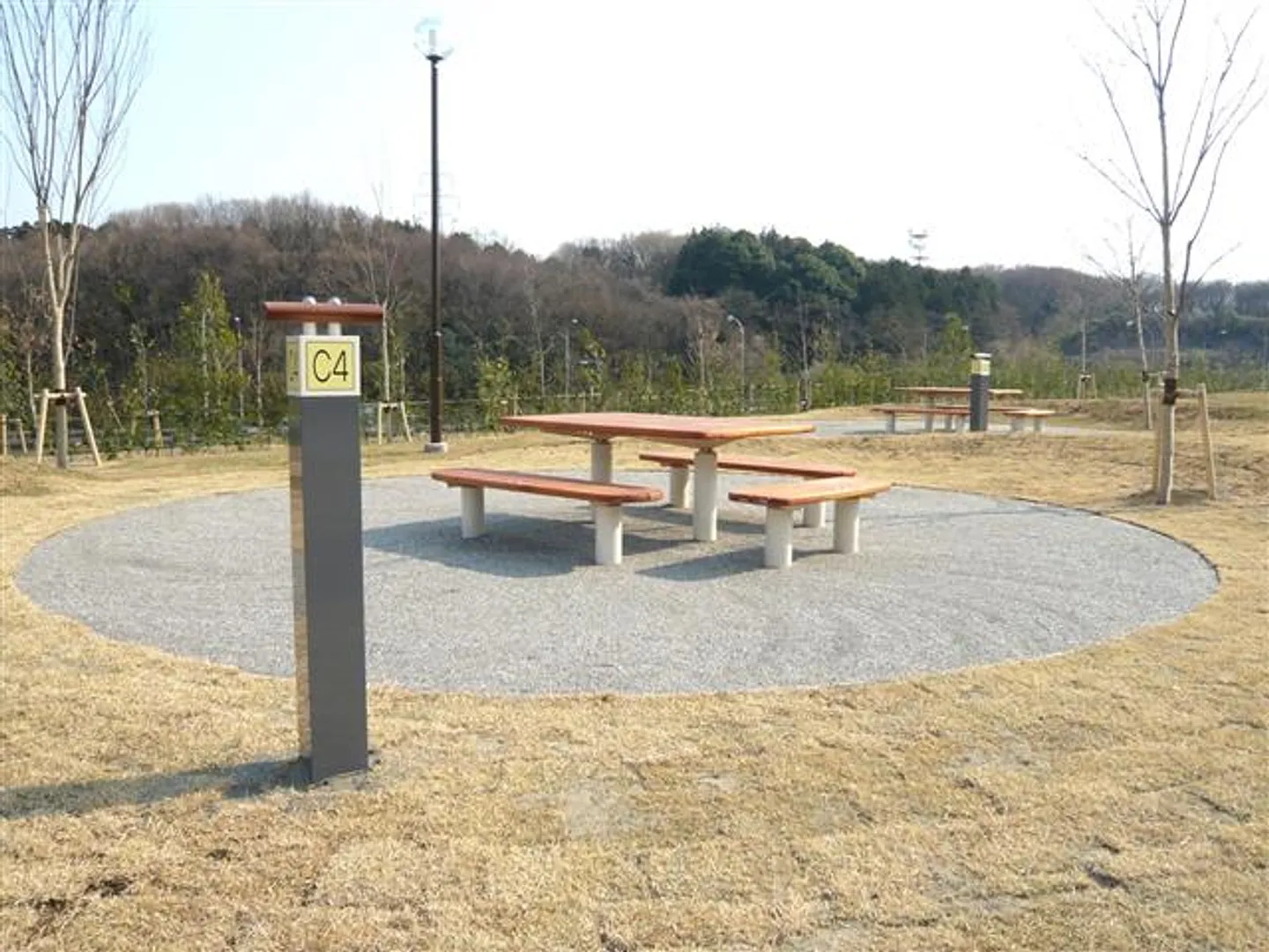 JM000322i.jpg