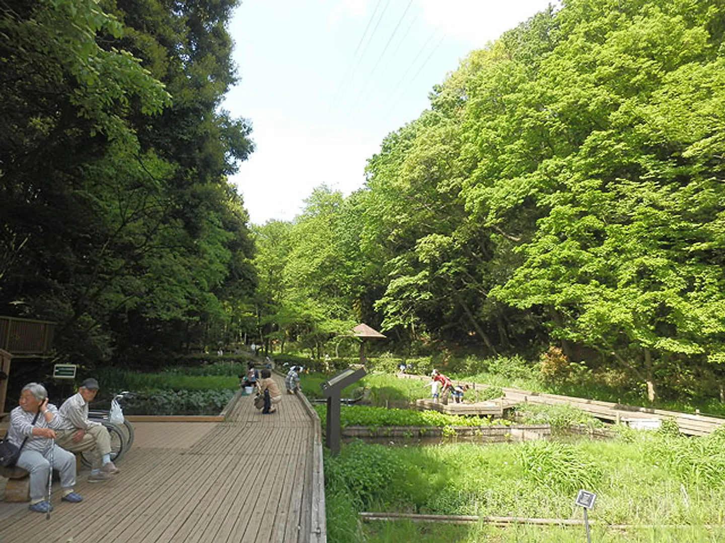湿生植物園