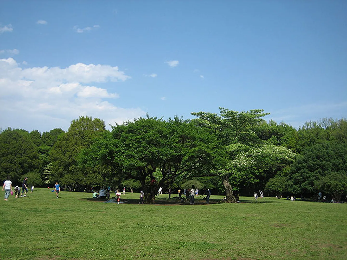 古代芝生広場