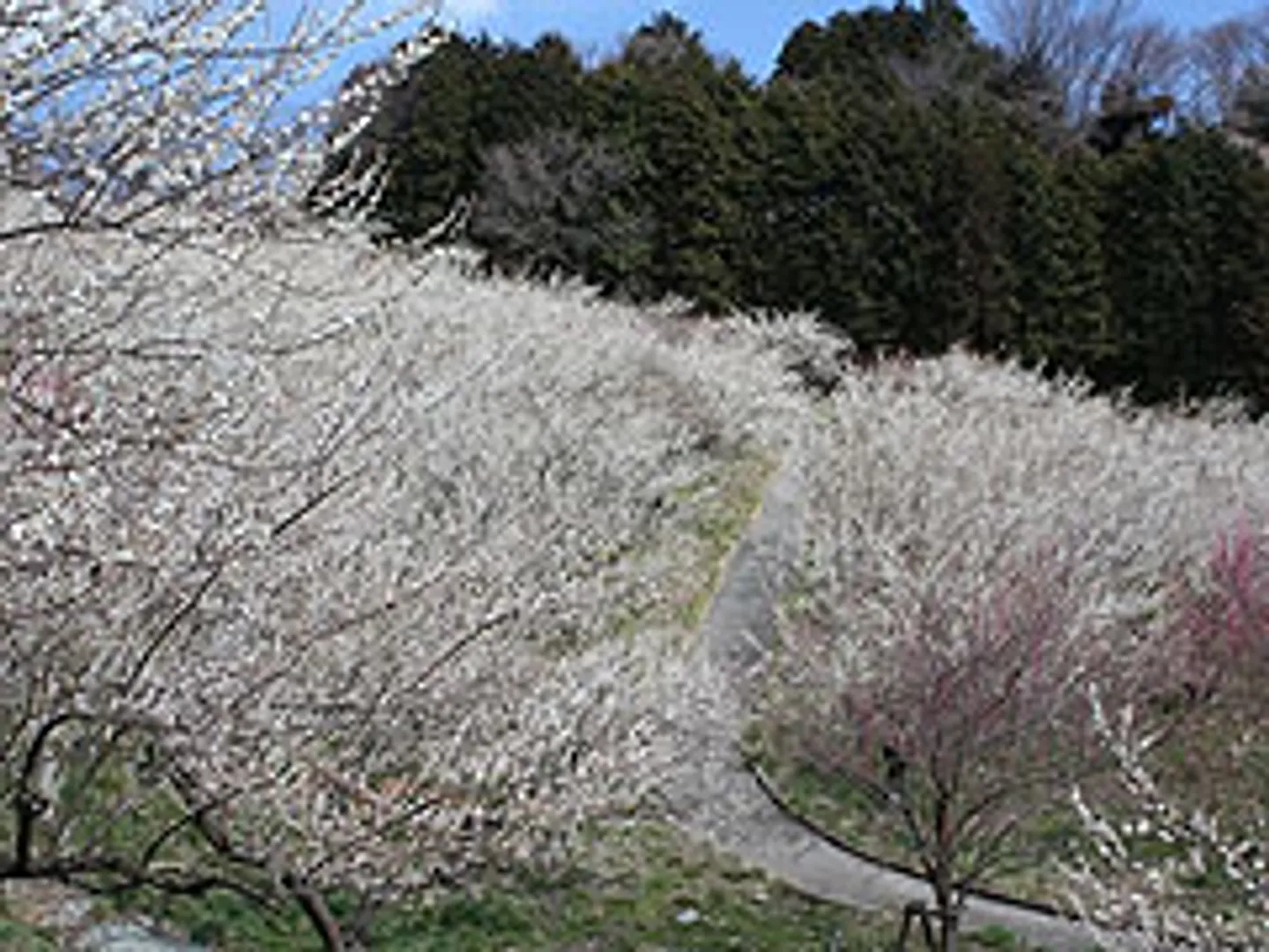 JF002860a.jpg