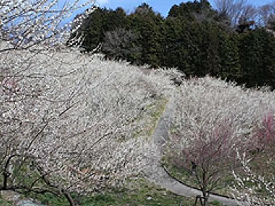JF002860a.jpg