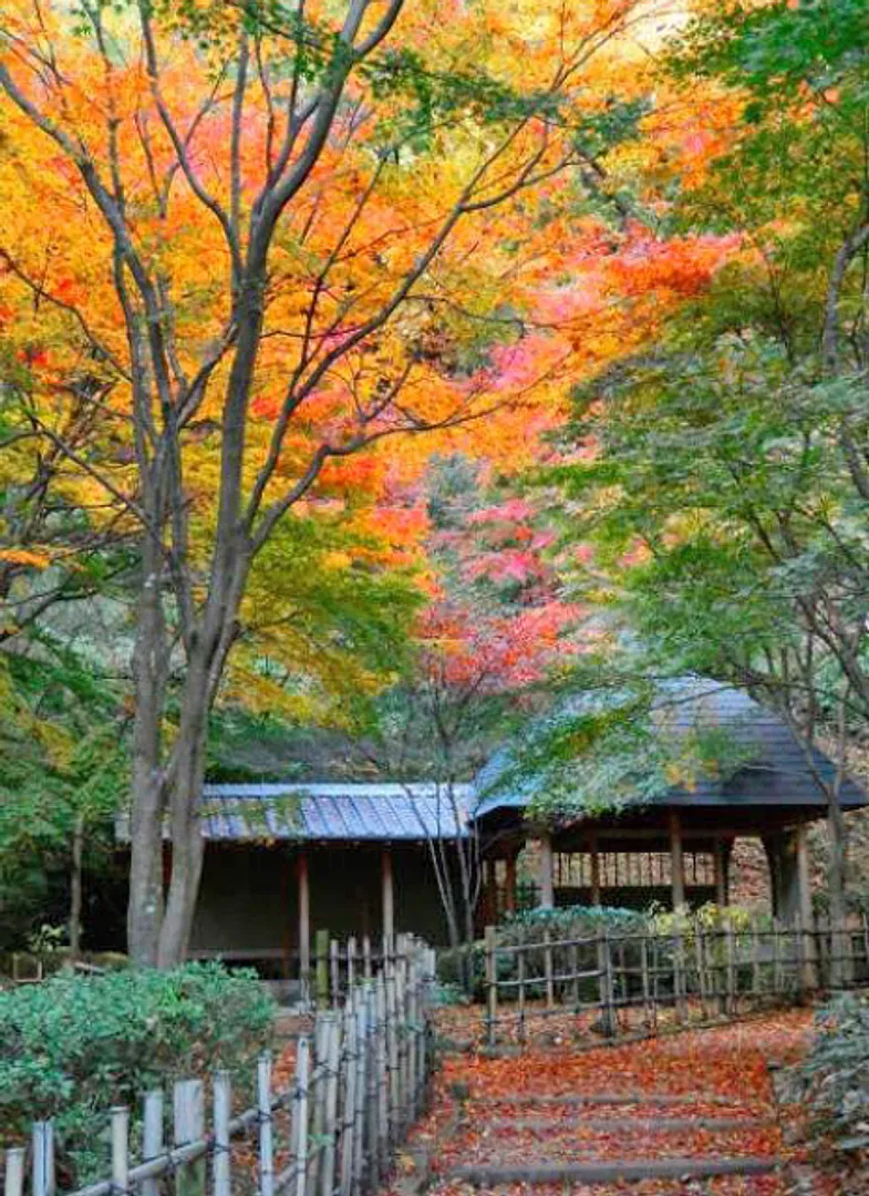 （公財）神奈川県公園協会