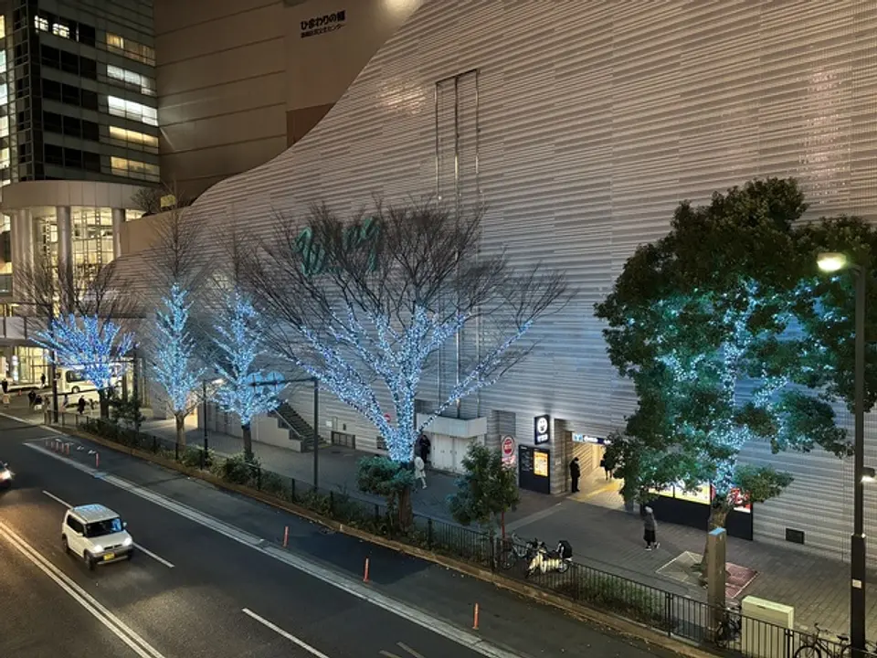 写真は過年度のもの。