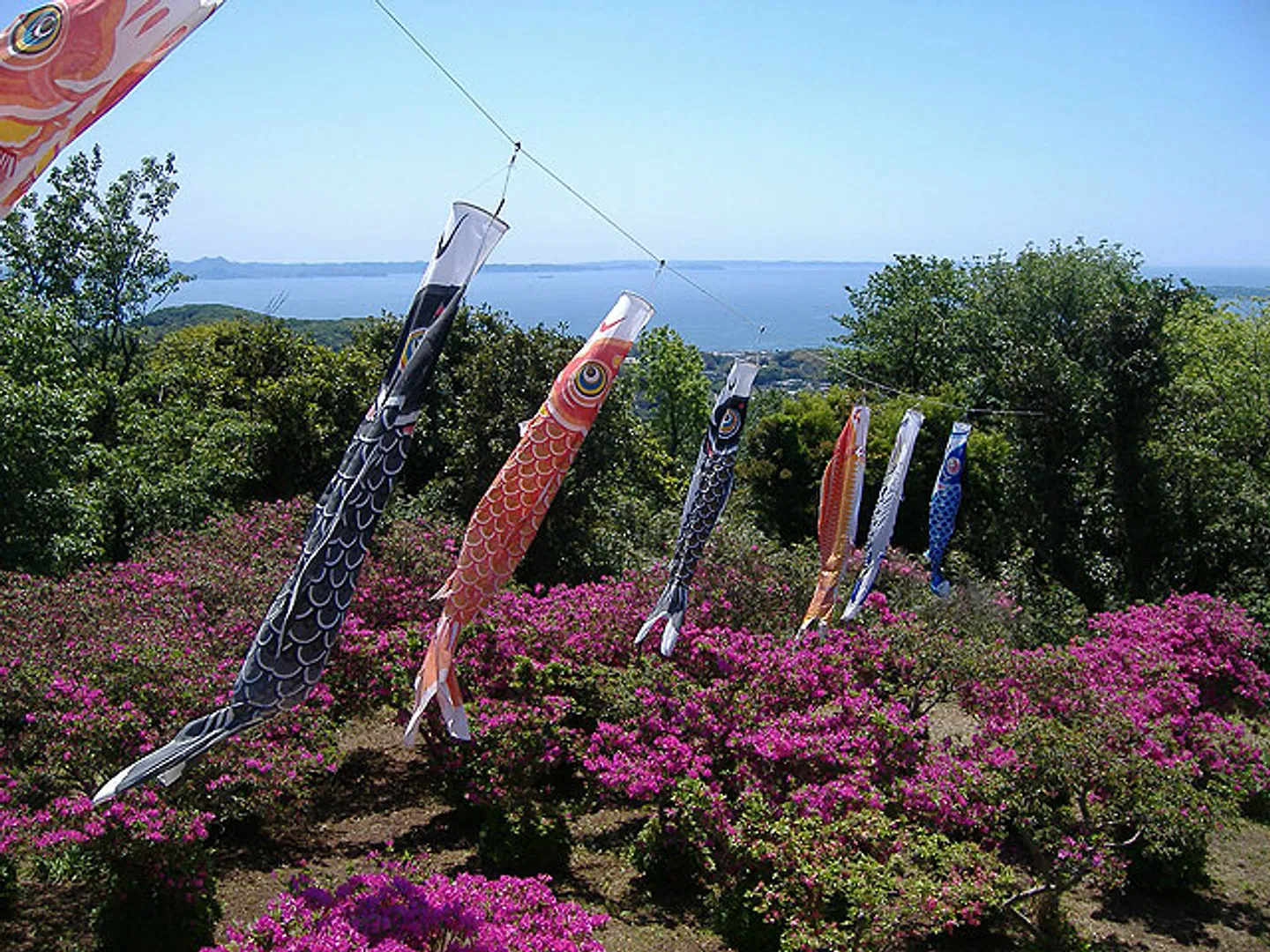 武山のつつじ祭り