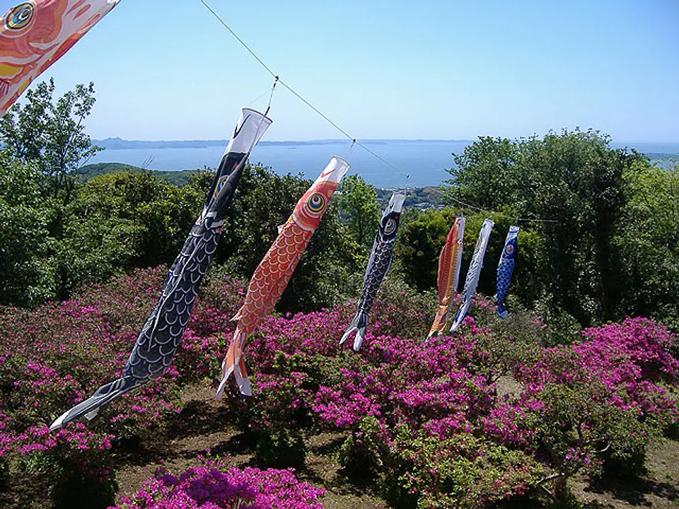 武山のつつじ祭り
