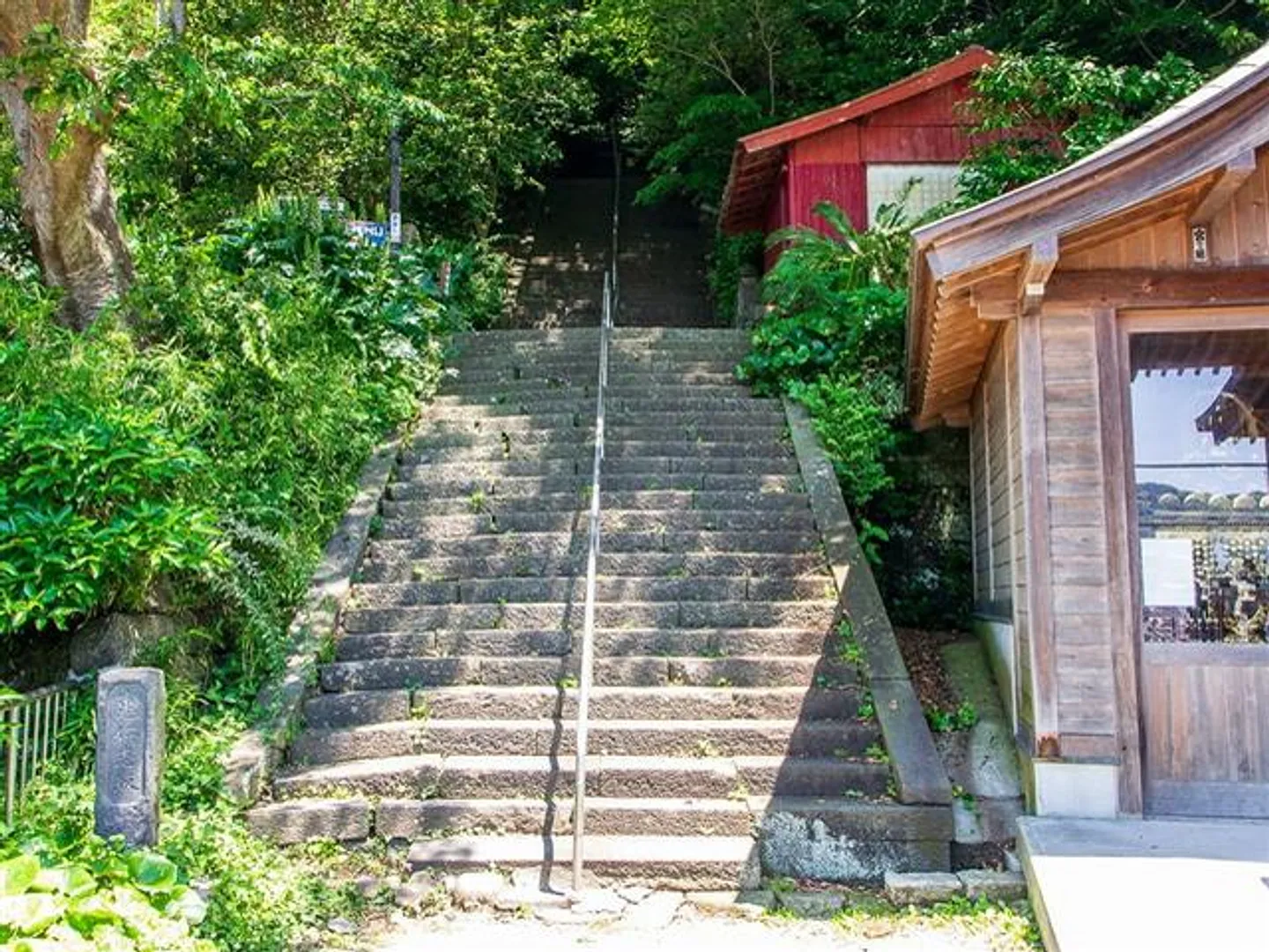 00001910d.jpg