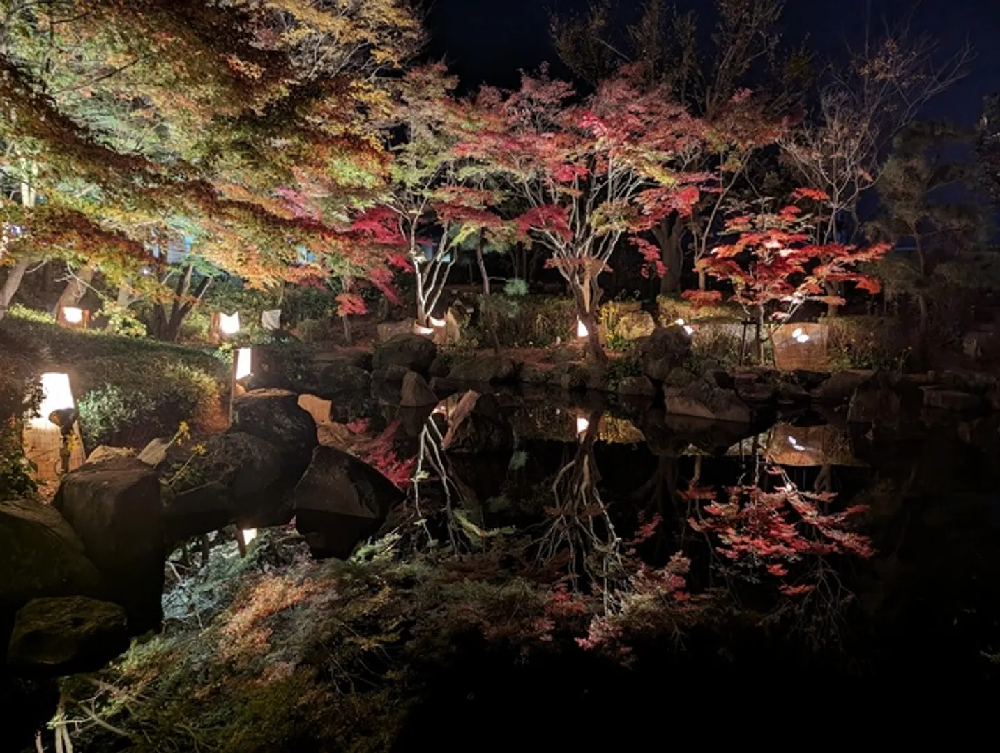 神奈川県公園協会 大磯城山公園