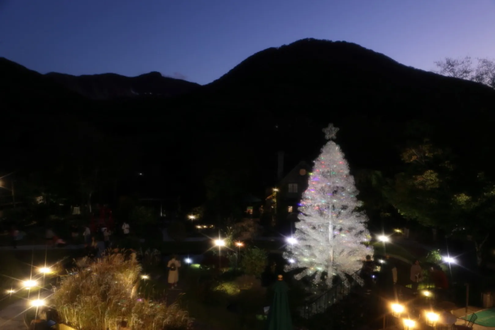 クリスタル・ガラスのクリスマスツリー