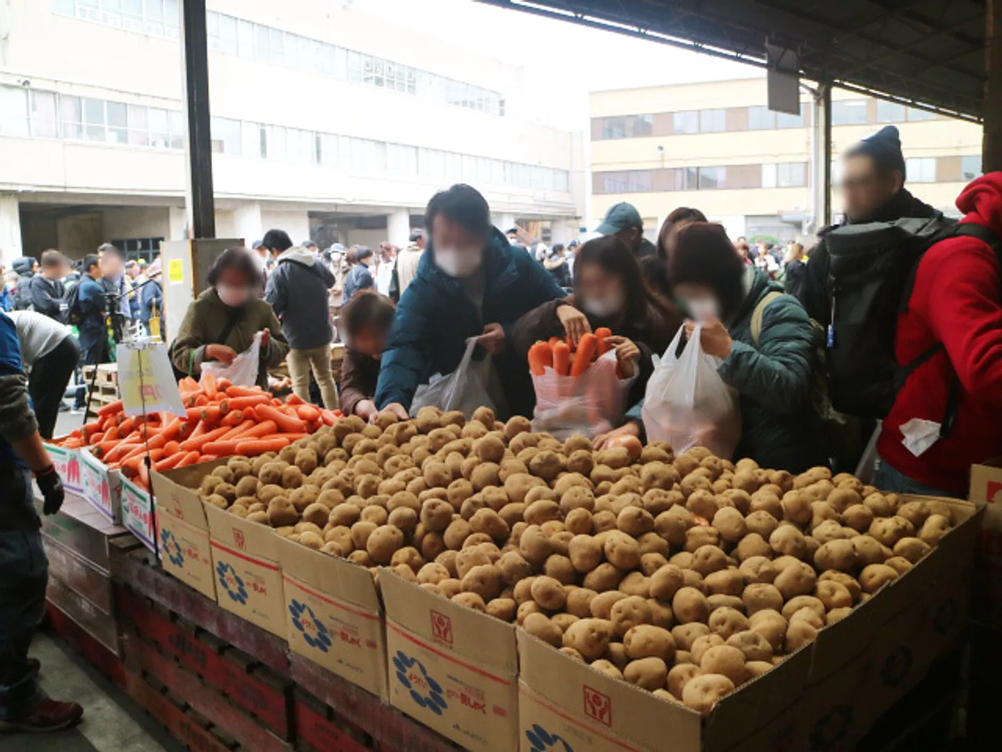 南部市場食鮮まつり　前回開催時の写真