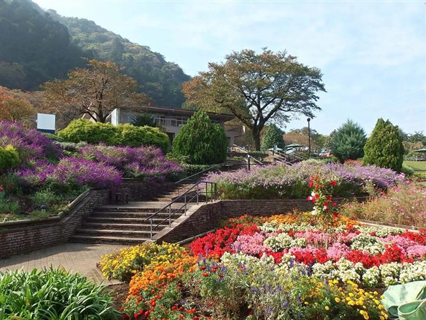 花の苑地