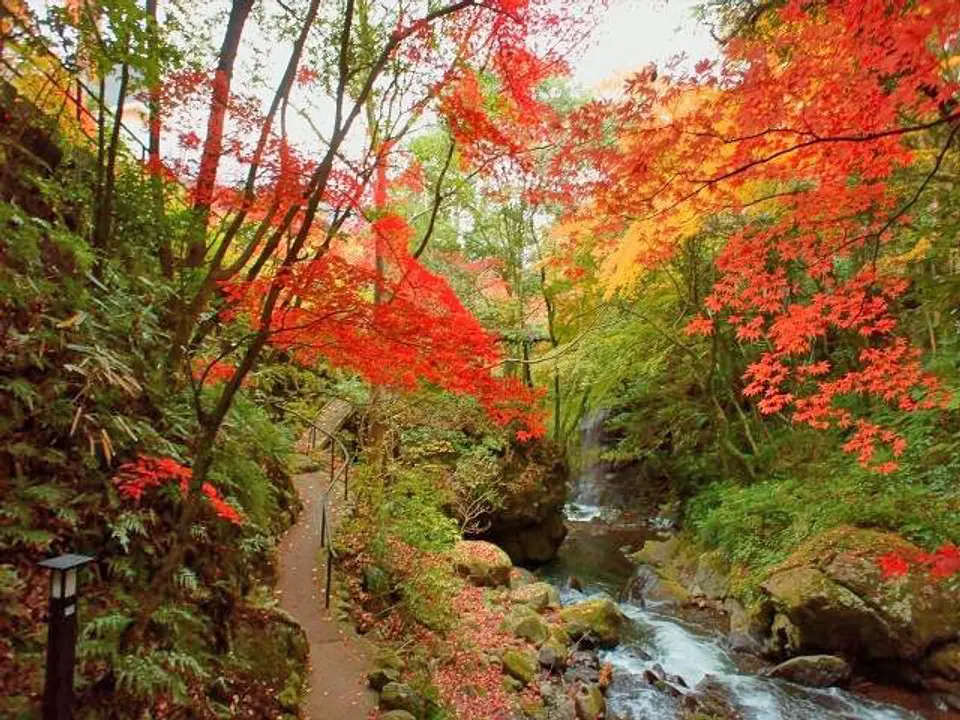 渓流散策道の紅葉