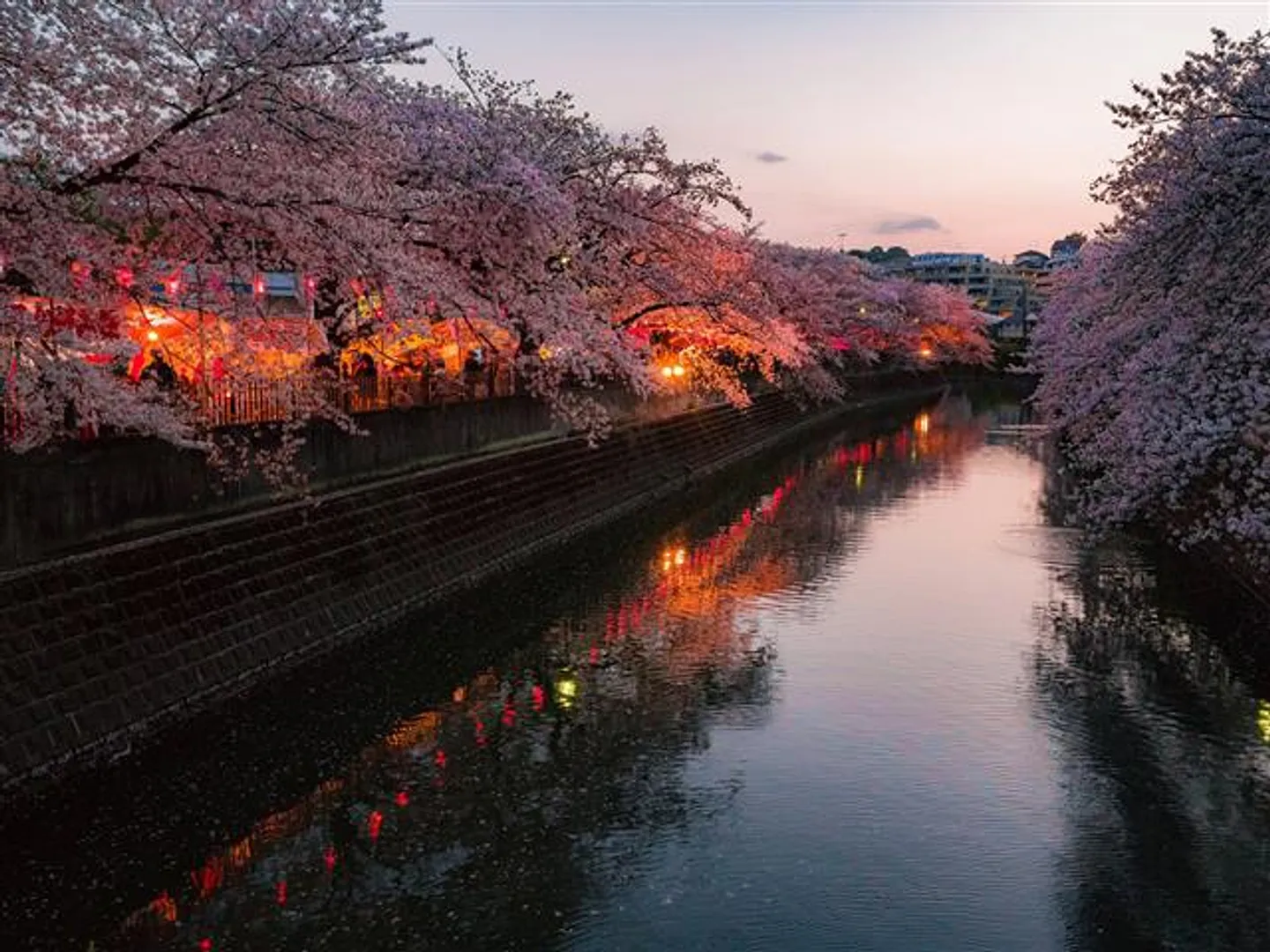 大岡川プロムナード ライトアップ時の様子
