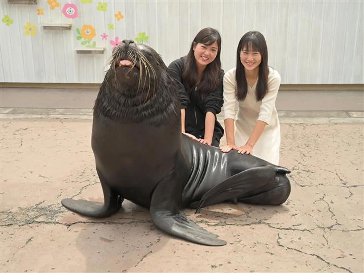海の生きものとふれあえる水族館「ふれあいラグーン」