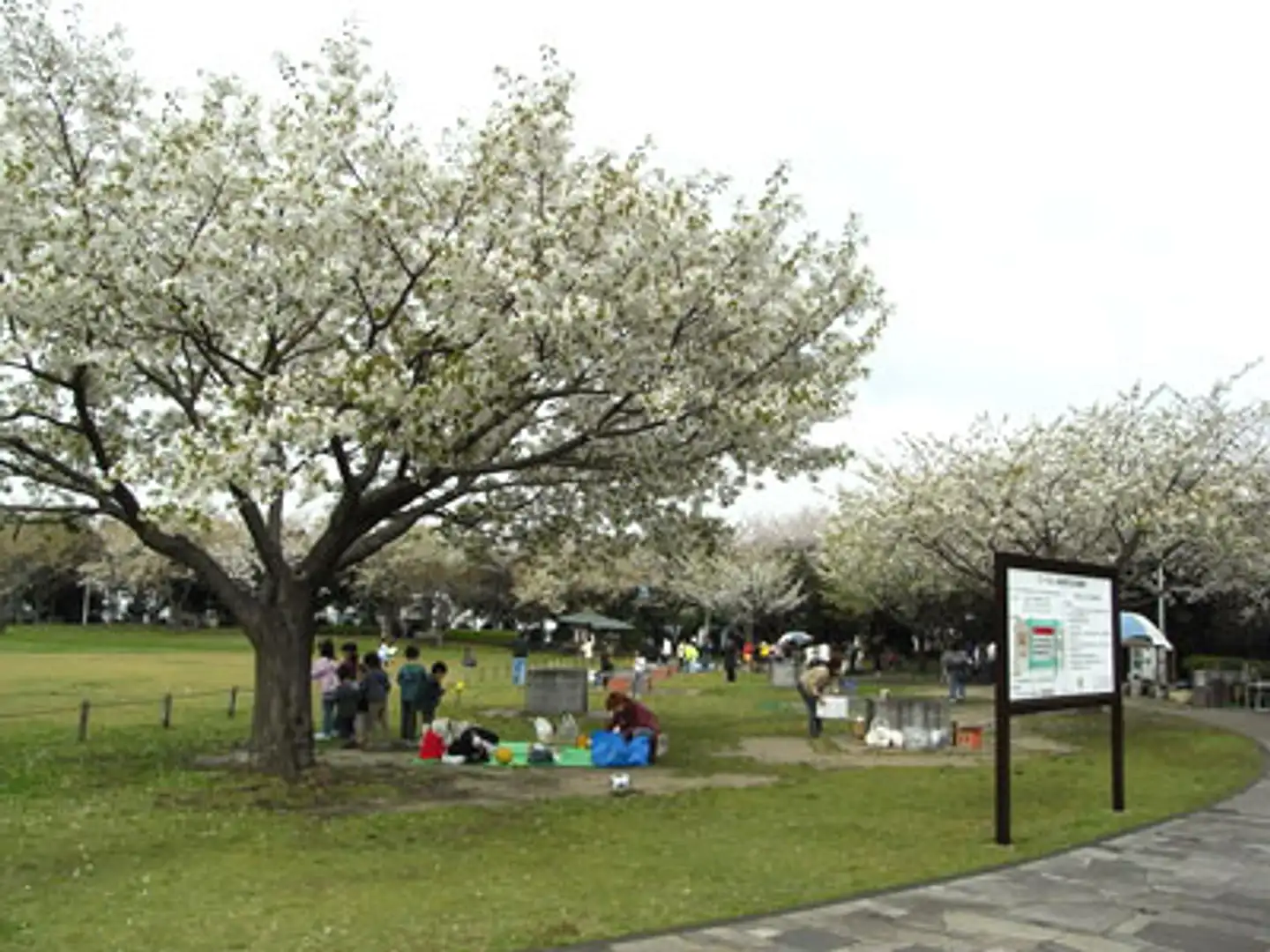 東扇島 中 公園