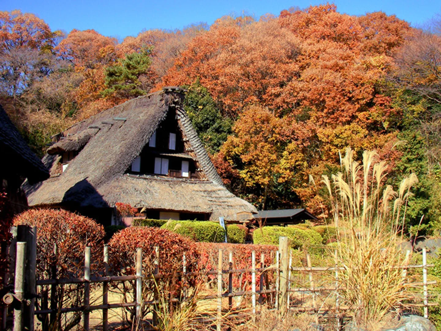 国指定重要文化財 旧江向家住宅