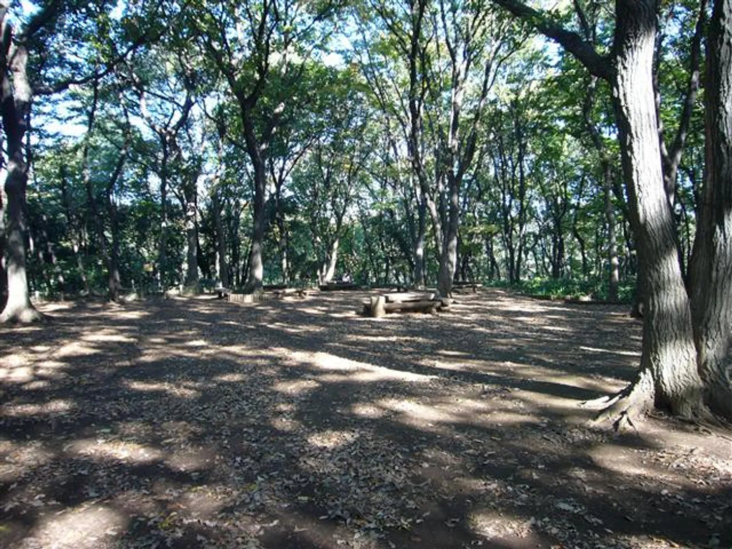 ピクニック広場