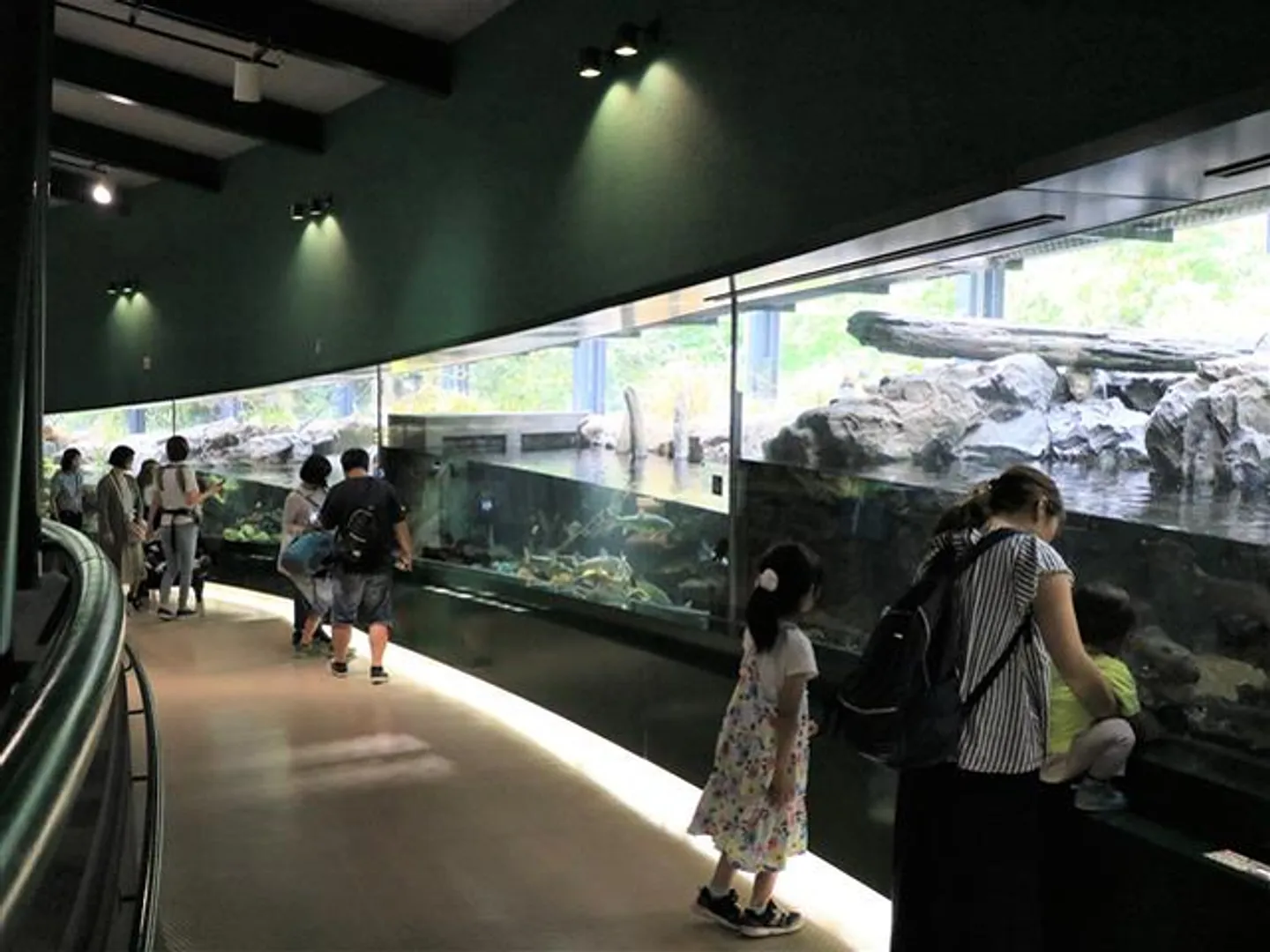 相模川の水源～河口全長113kmを、長さ40mの大型の環境再現水槽で表現した「流れのアクアリウム」