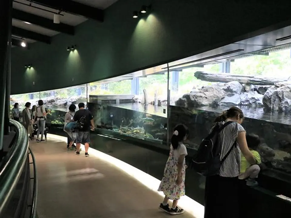 相模川の水源～河口全長113kmを、長さ40mの大型の環境再現水槽で表現した「流れのアクアリウム」